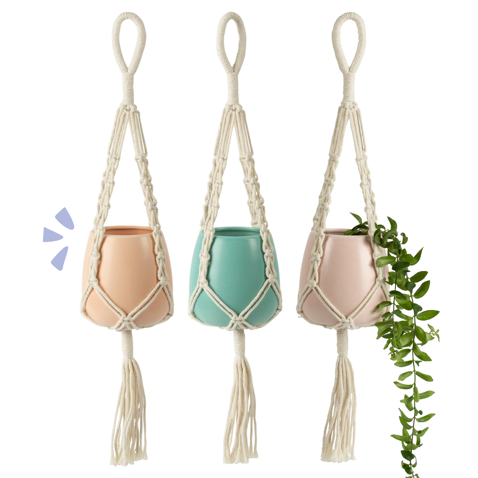 Hanging Planter