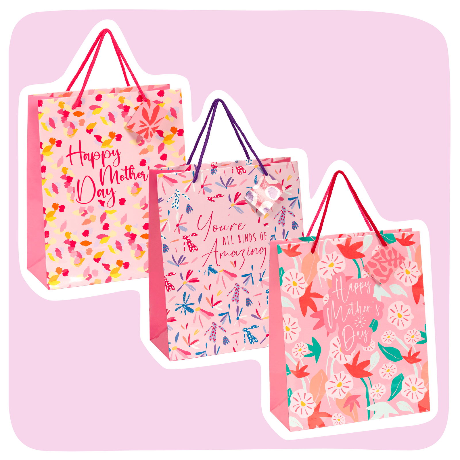 Large Gift Bag With Gift Tag - Pack of 12 ($1.40 ea)